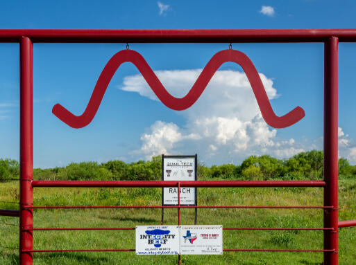 Flying M Land & Cattle Co. Ranch in Archer City, TX