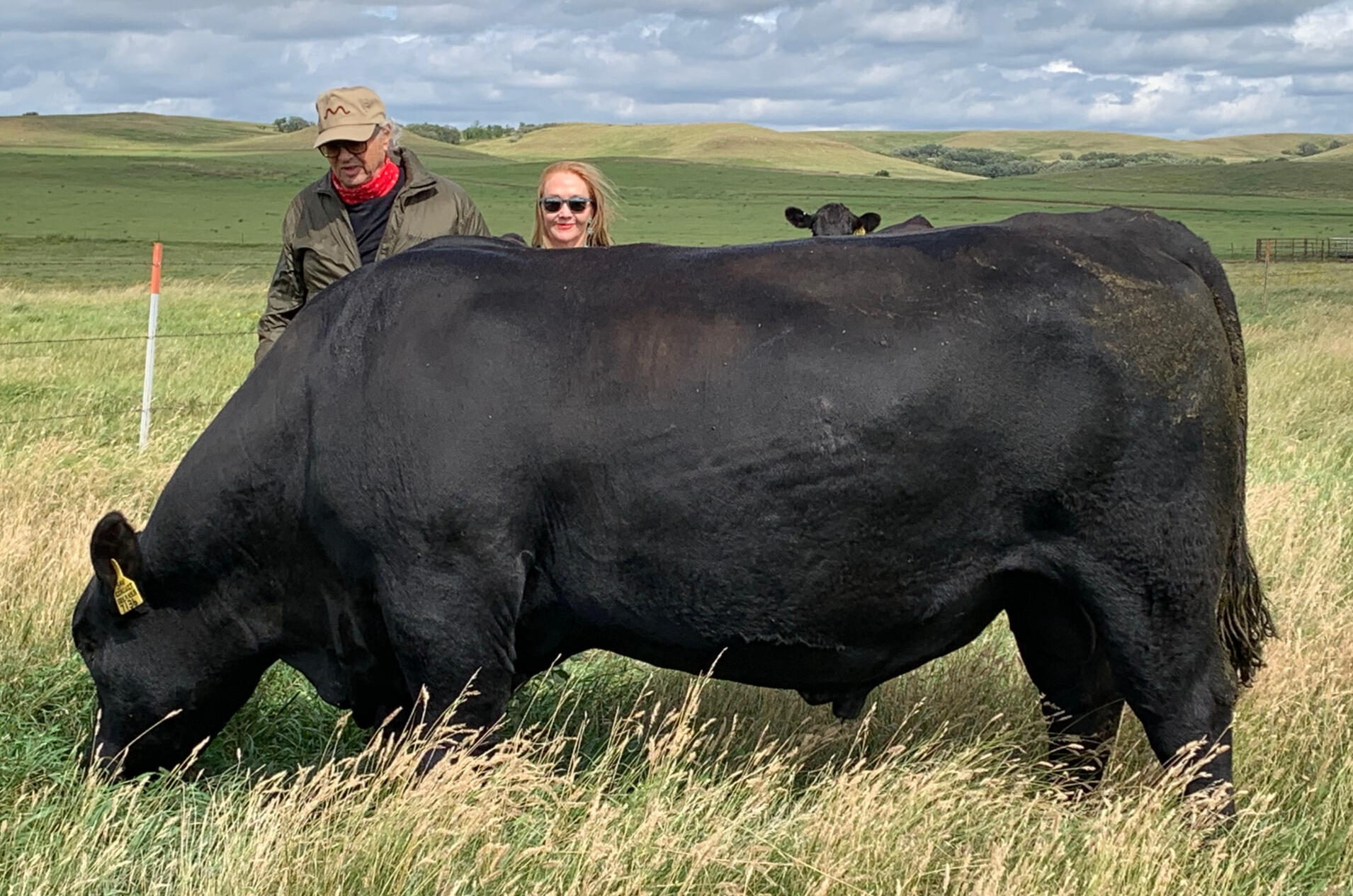 SAV Circuit Breaker 7136 Semen for sale. Contact us for pricing.